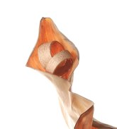 Juwelier-Range-Kassel-lava_blatt-Wilde-Ehe-Ringe-2019-08