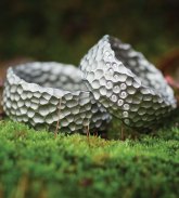 Juwelier-Range-Kassel-morgentau1-Wilde-Ehe-Ringe-2019-08