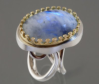 nur1_dornroesschen_spektrolith